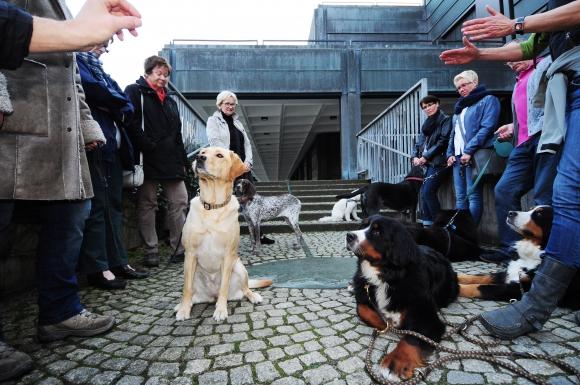 Eine Gruppe mit Hunden und ihren Haltern vor dem Kunstmuseum © Presseamt Bochum/