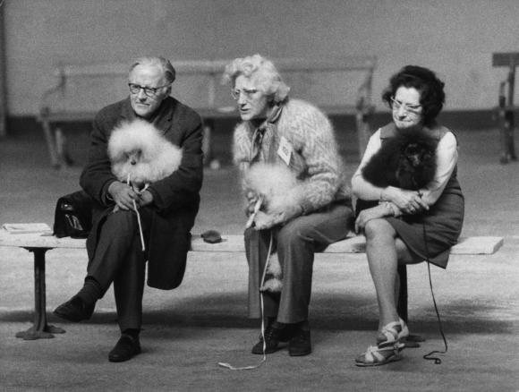 Shirley Baker, Dog Show 1961-1978