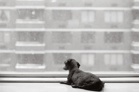 Nancy LeVine, Poopie, 14 Jahre alt, New York City Nancy LeVine, Poopie, 14 years old, New York City, New York