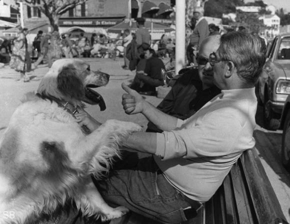 People and Dogs © Shirley Baker