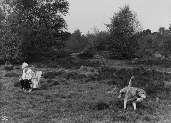 People and Dogs © Shirley Baker