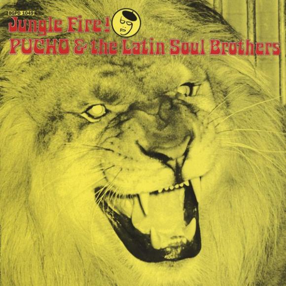 Pucho & the Latin Soul Brothers