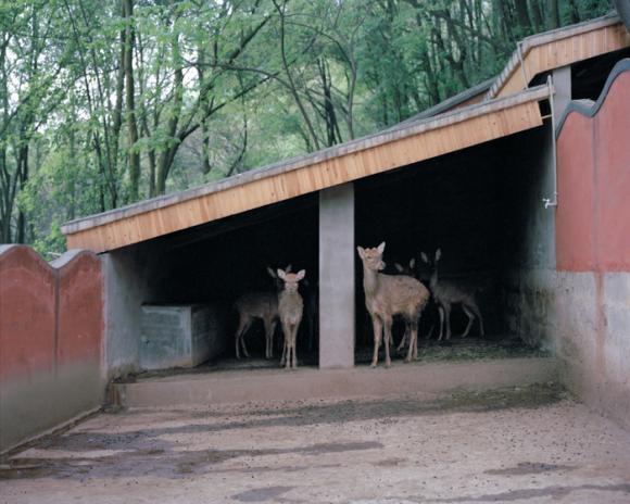 Borderland © Jiehao Su