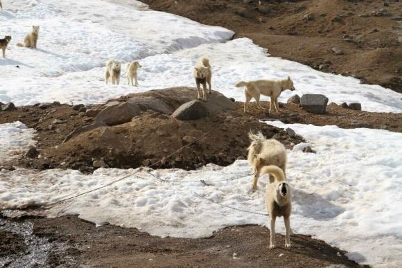 Tassilaq und Kummiut in Ostgrönland, Foto: Marion Löcker