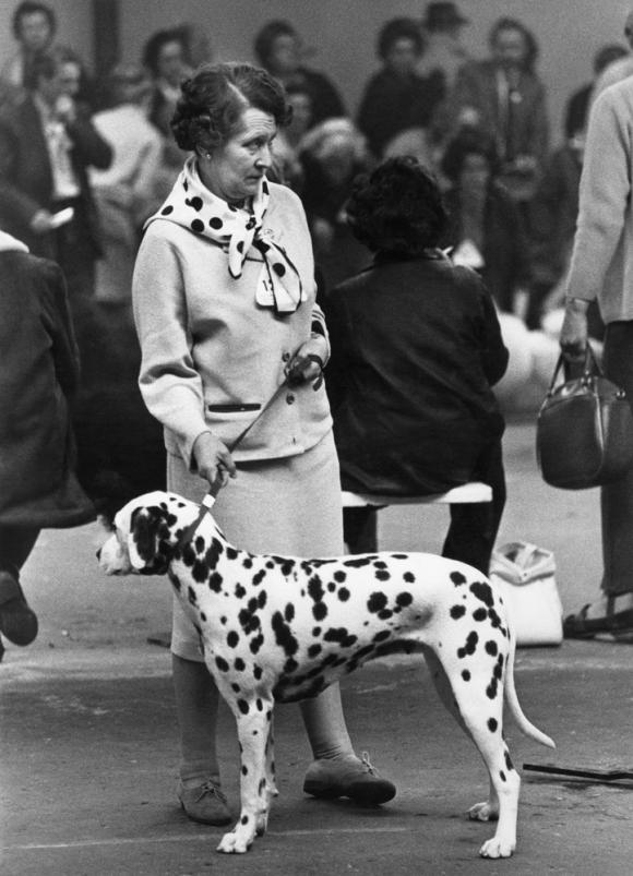 Shirley Baker, Dog Show 1961-1978