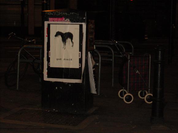 Rachel Howard, Black Dog, Fly poster, Foto © isinner