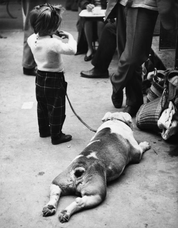 Shirley Baker, Dog Show 1961-1978