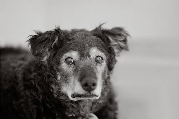 Nancy LeVine, Curley, 14 Jahre alt, Kanab, Utah