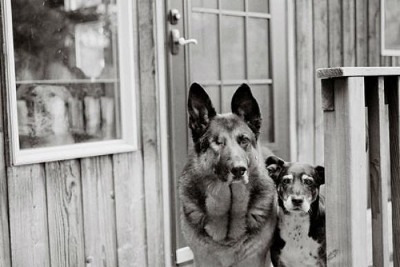 Nancy LeVine, Mason, 12 years old; Bailey, 15 years old, Cle Elum, Washington