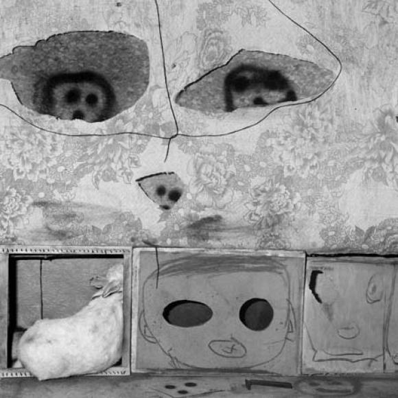 Roger Ballen, Boarding House, Caomouflaged, 2007