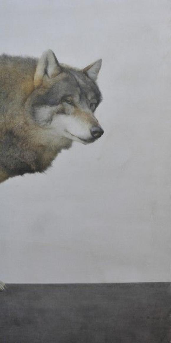 Marzio Tamer, Wolf