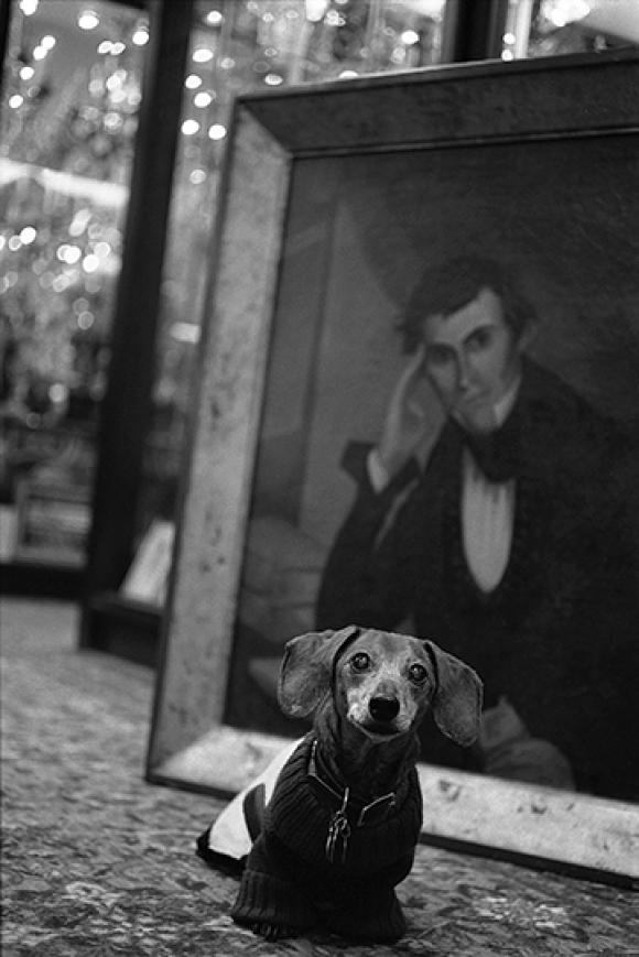 Nancy LeVine, Fritzie, 16,5 Jahre alt, arbeiet in einem Antiquitätengeschäft<br />
Nancy LeVine, Fritzie, 16,5 years old, goes to work at an antique store