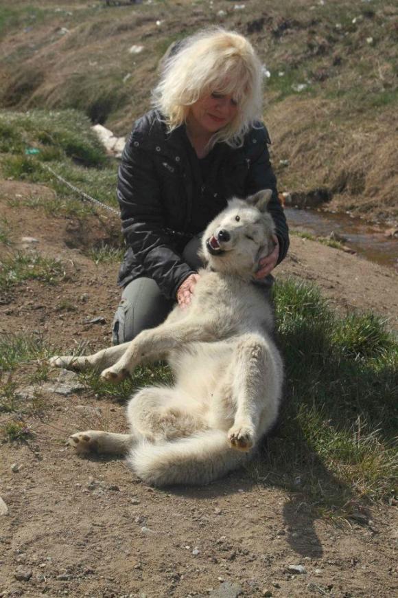 Marion hat ihr Herz an sie verloren, Tassilaq und Kummiut in Ostgrönland