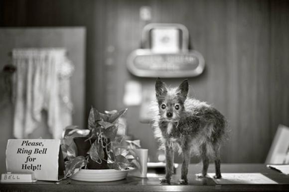 Nancy LeVine, Jake, 16 Jahre alt, Higgins, Texas Nancy LeVine, Jake, 16 years old, Higgins, Texas