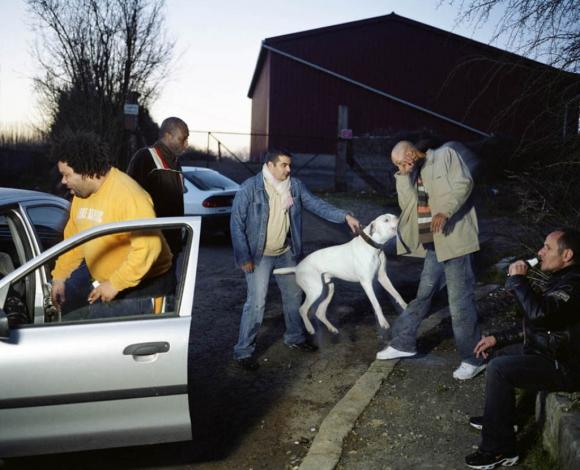 Mohamed Bourouissa, La morsure, 2007