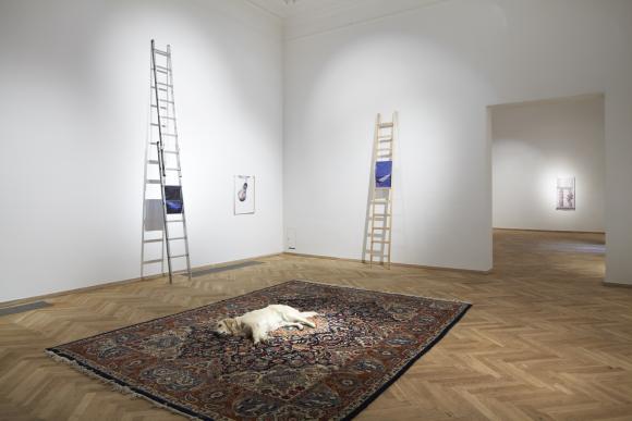 Nina Beier, Tragedy, 2011, Foto Kunsthal Chartlottenborg