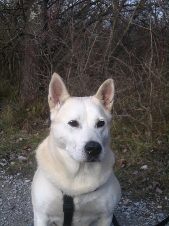 Adventspaziergang in der Lobau