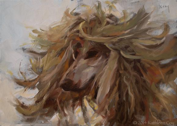 Afghan Hound © Kathleen Coy