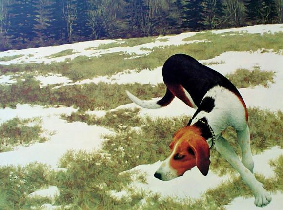 Alex Colville, Hound in Field, 1958