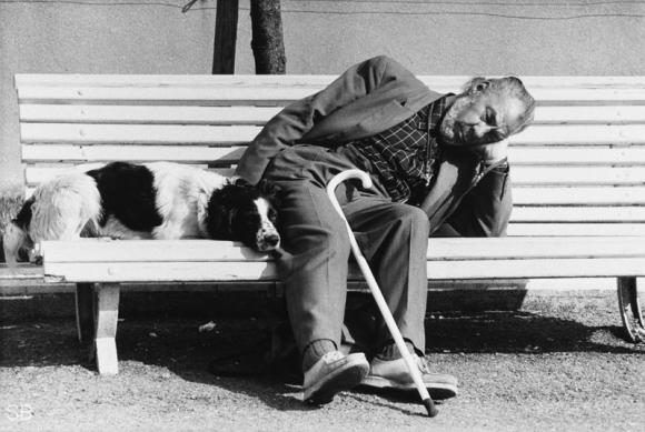 People and Dogs © Shirley Baker, 1977