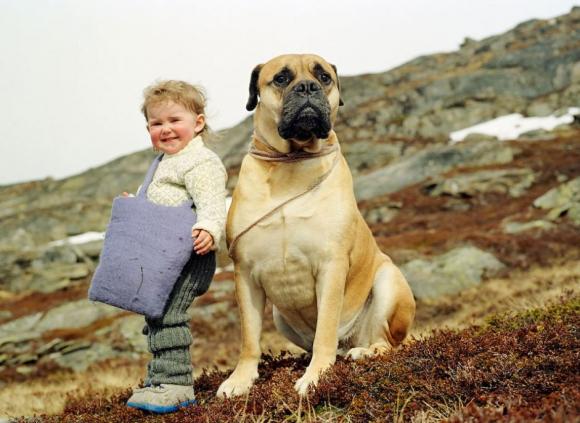 Arnold Corey, Escaping Finnmark, 2008