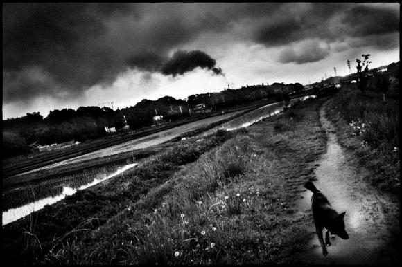 Man and dog © Hajime Kimura