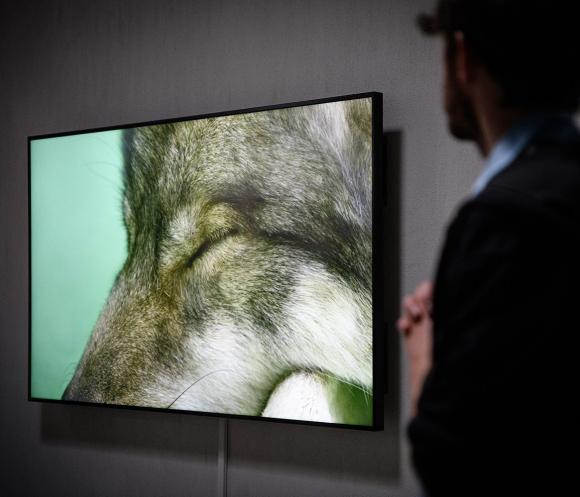 Ausstellungsansicht Berlin Masters Foundation, 2021, Foto Marcelina Wellmer