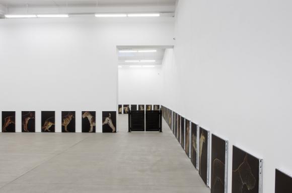 Ausstellungsansicht Galerie Clearing, New York, 2016 © Zak Kitnick