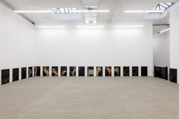 Ausstellungsansicht Galerie Clearing, New York, 2016 © Zak Kitnick