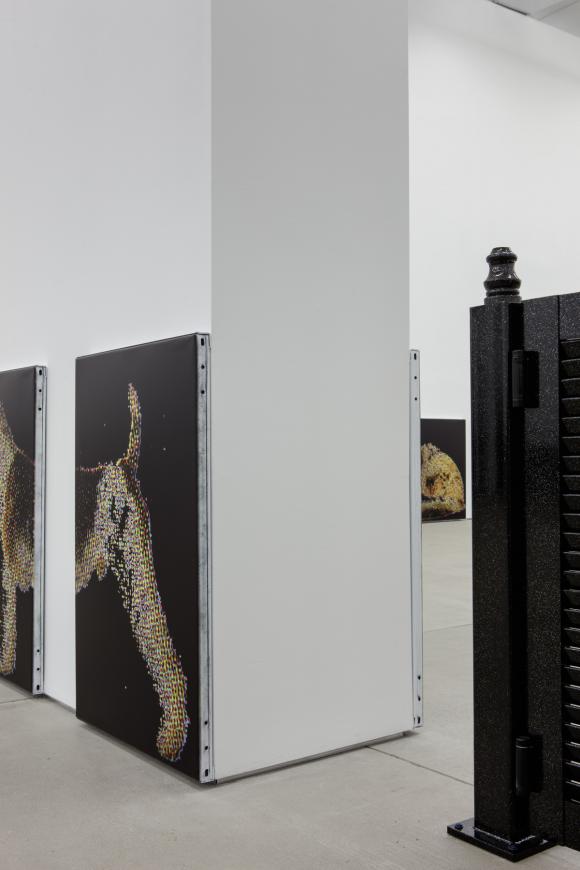 Ausstellungsansicht Galerie Clearing, New York, 2016 © Zak Kitnick