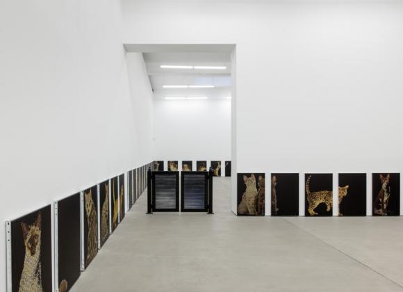 Ausstellungsansicht Galerie Clearing, New York, 2016 © Zak Kitnick