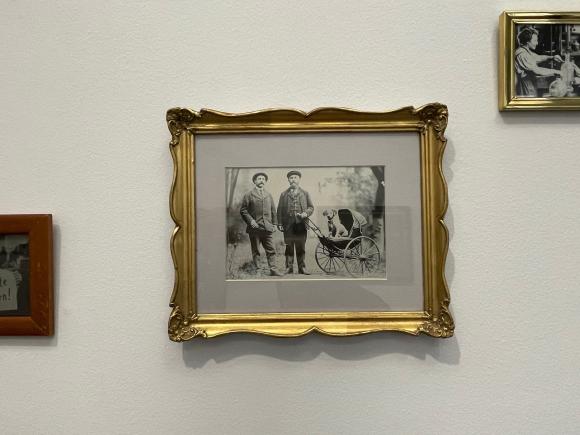 Ausstellungsansicht, Marlene Fröhlich, Studio Supplement, 2024, Foto Petra Hart