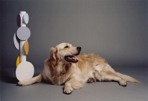 Balou, Fotografie, 2007 © Florian Japp