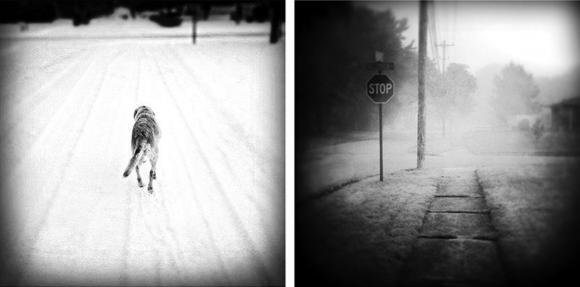 Benny Was A Good Boy 11 © Catherine Panebianco