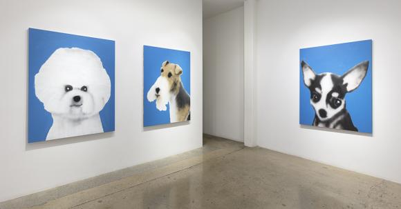 Best In Show. Installation view, Steve Turner, 2021