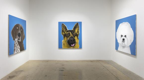 Best In Show. Installation view, Steve Turner, 2021