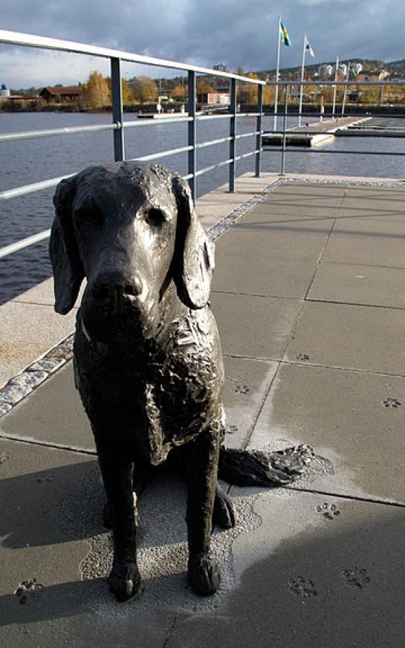 Linnéa Jörpelan - Bronzehund