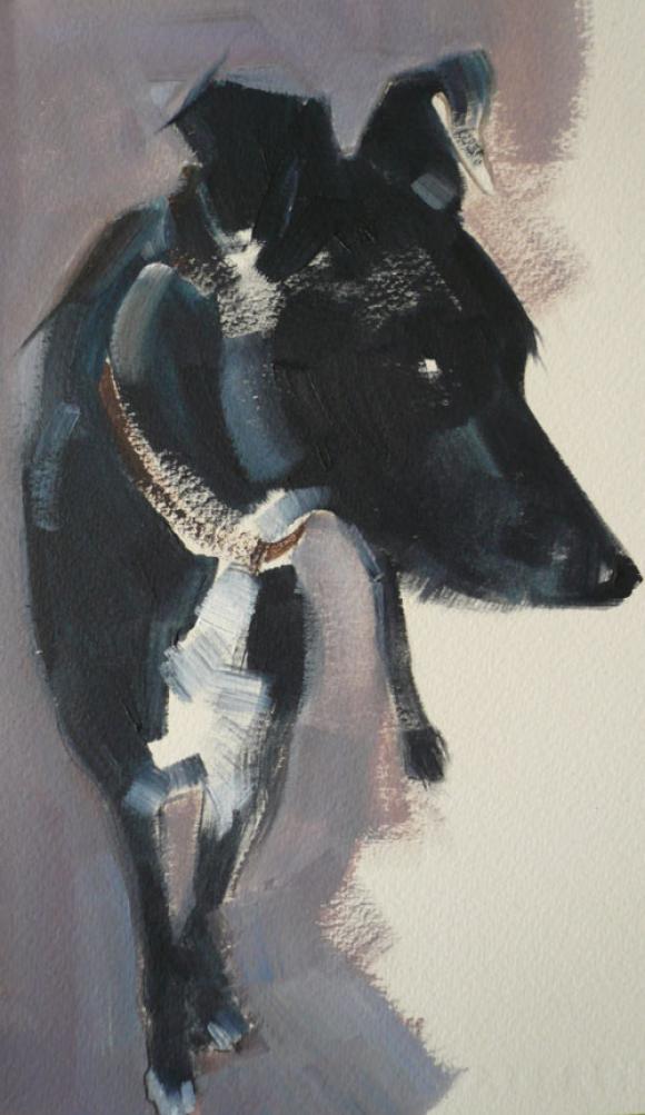 Black Dog © Sally Muir