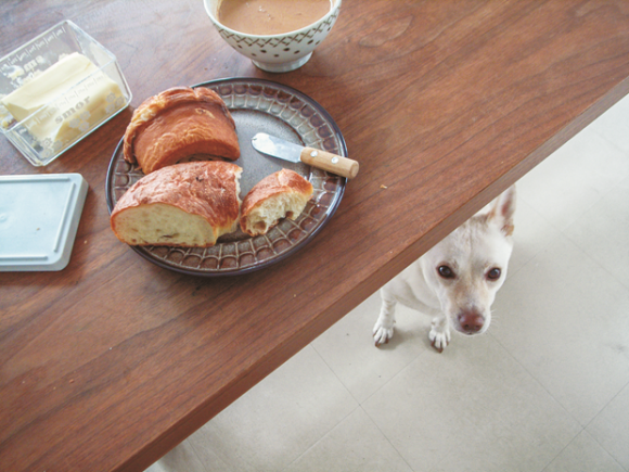 Bread and a Dog © Natsuko Kuwahara