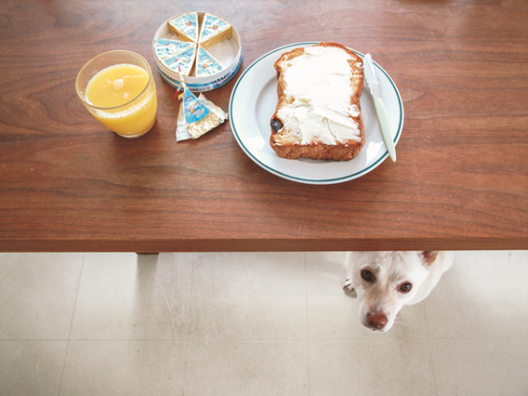 Bread and a Dog © Natsuko Kuwahara