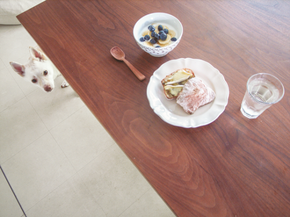 Bread and a Dog © Natsuko Kuwahara