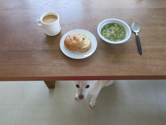 Bread and a Dog © Natsuko Kuwahara