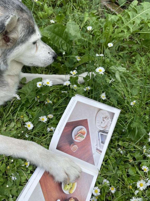 Bread and a Dog mit Hedy, Foto Petra Hartl