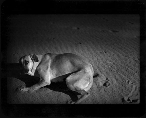 ©Giacomo Brunelli