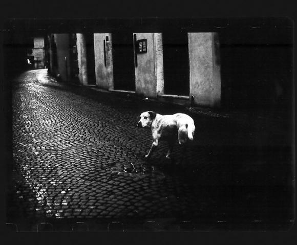 ©Giacomo Brunelli