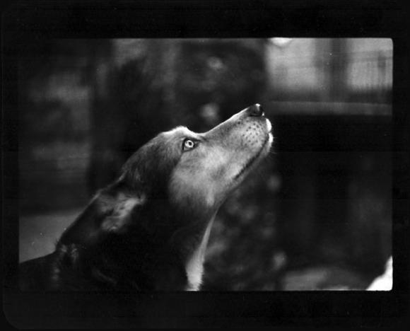 ©Giacomo Brunelli