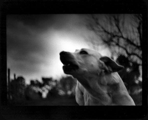 ©Giacomo Brunelli