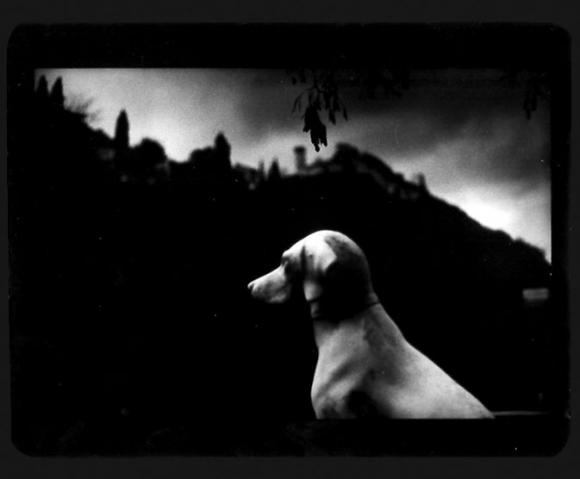 ©Giacomo Brunelli