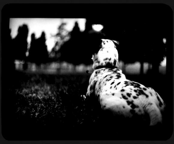 ©Giacomo Brunelli