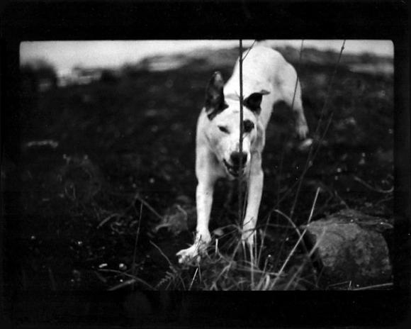 ©Giacomo Brunelli